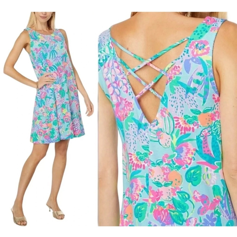Lilly Pulitzer Kristen Swing Dress SZ S Multi Me And My Zesty